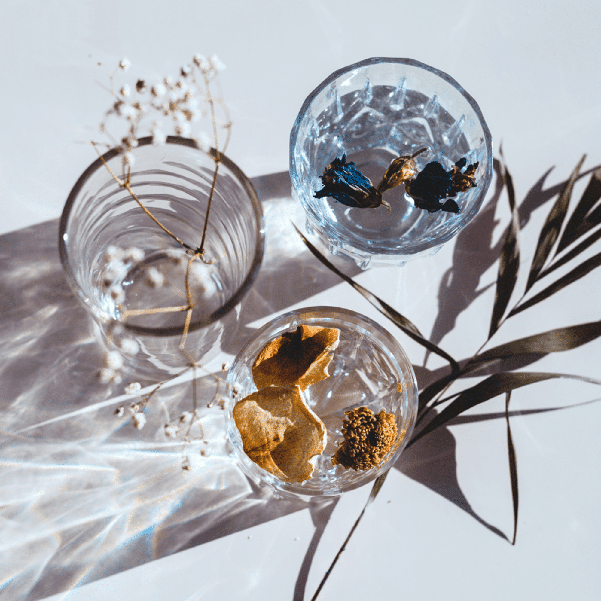 EXPERT EN LA MATIERE - LA SIGNATURE REMINISCENCE