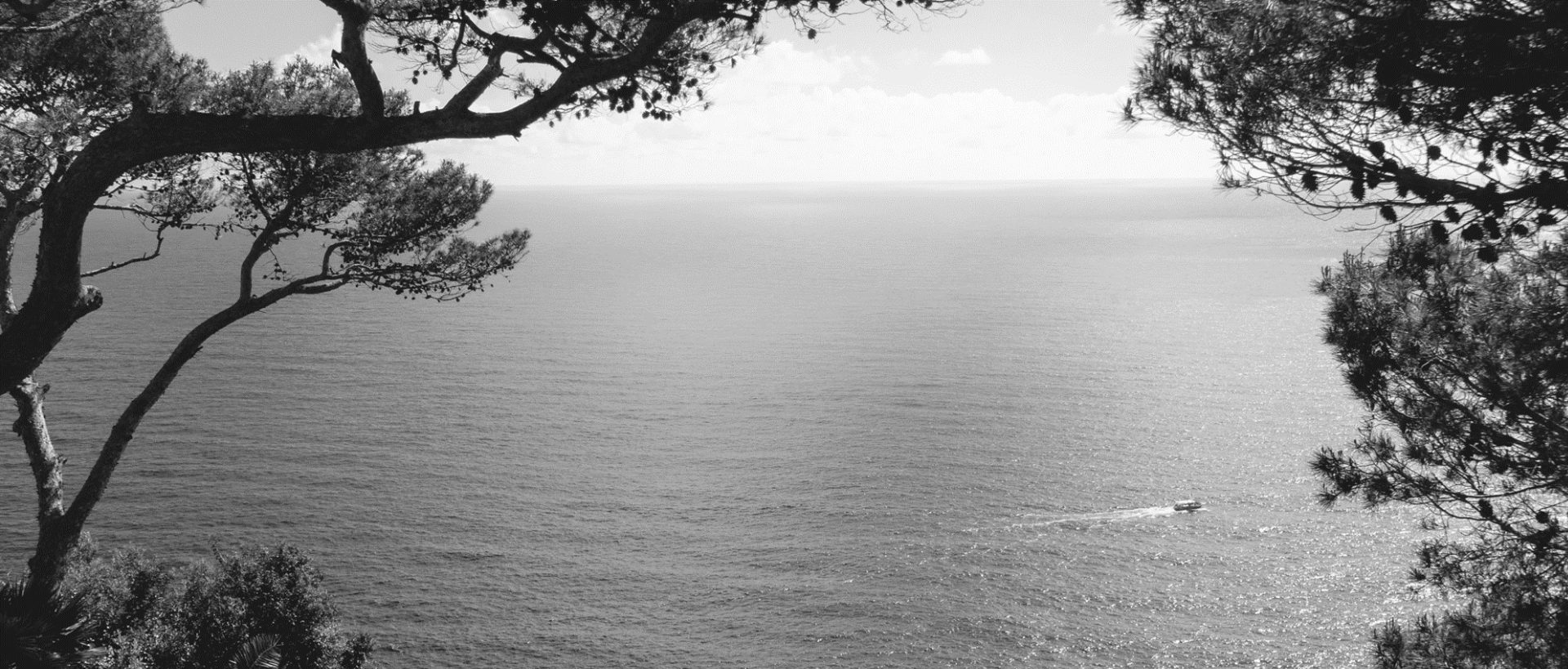 LA MEDITERRANEE - AU COEUR DE LA FRENCH RIVIERA