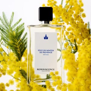 SOUS UN MIMOSA DE PROVENCE – Image 4