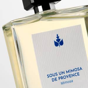 SOUS UN MIMOSA DE PROVENCE – Image 3
