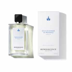 SOUS UN MIMOSA DE PROVENCE – Image 2