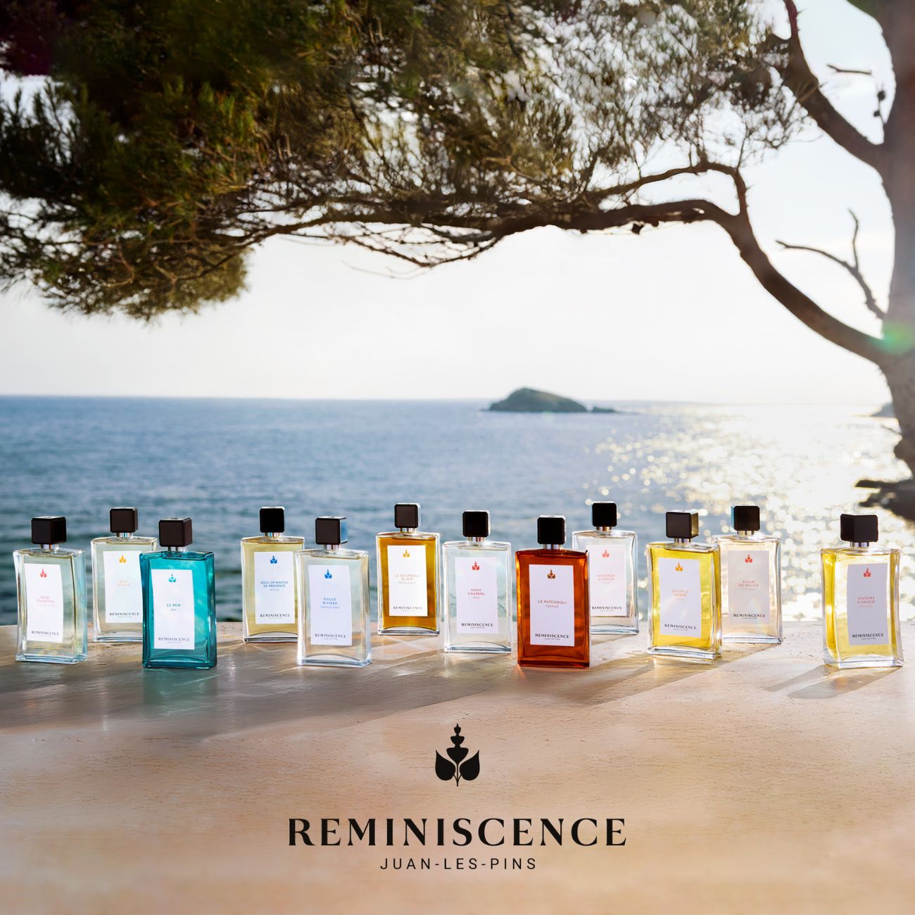 Tous nos produits