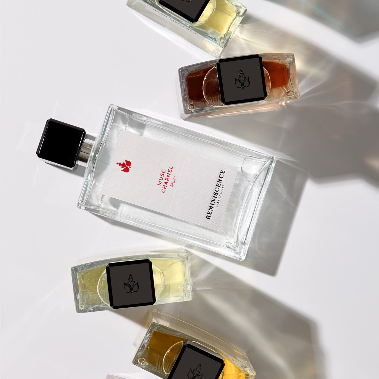Parfum Musqué