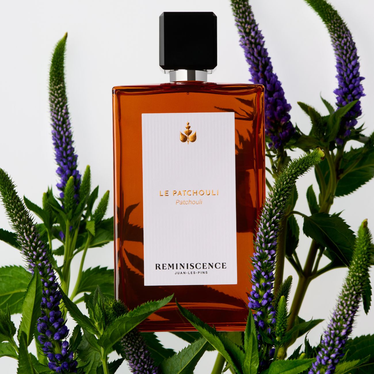 DECOUVREZ LA COLLECTION LE PATCHOULI