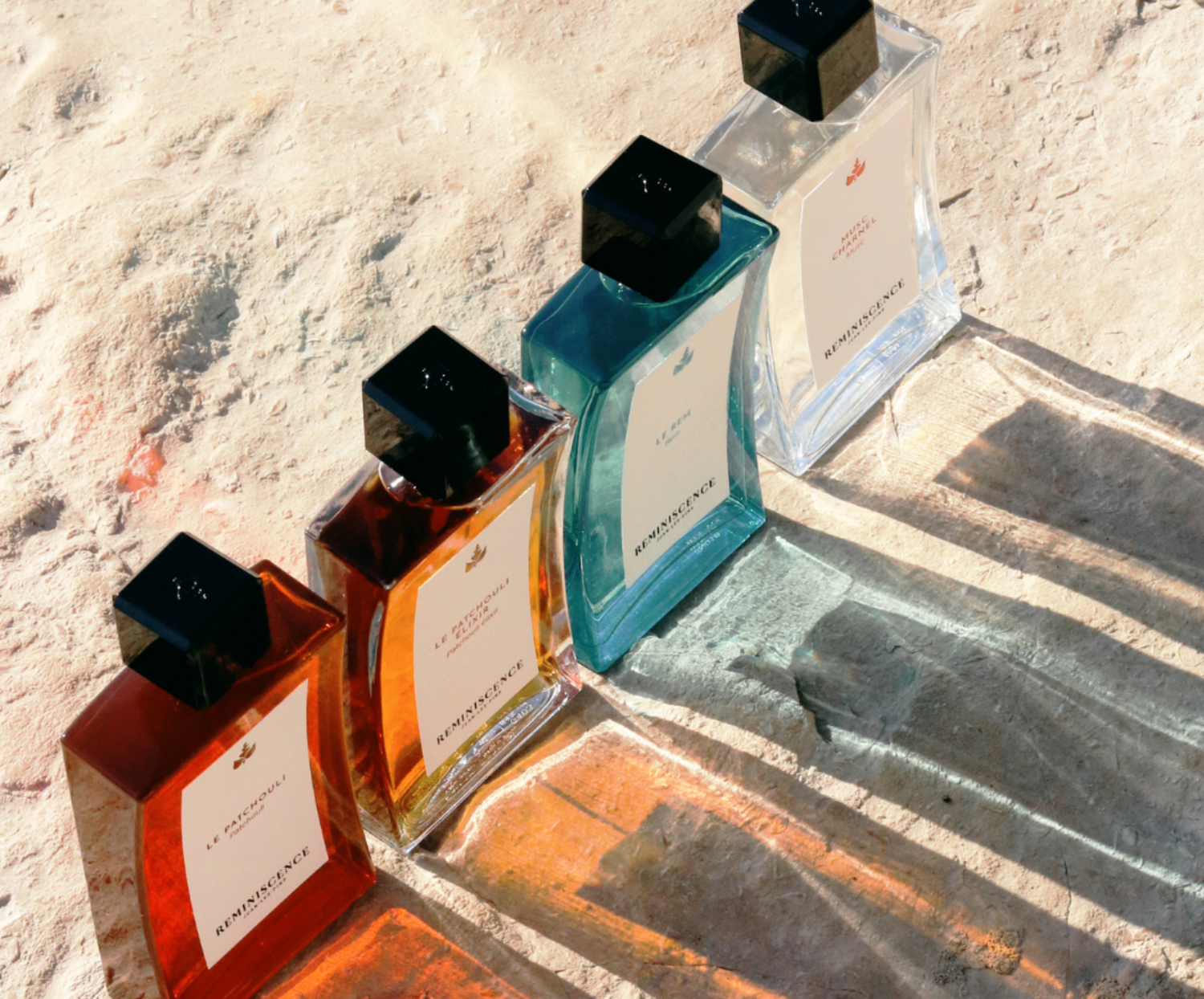 Découvrez tous nos parfums