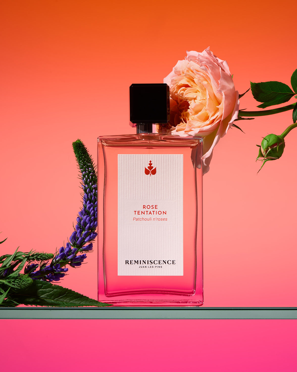 Rose tentation