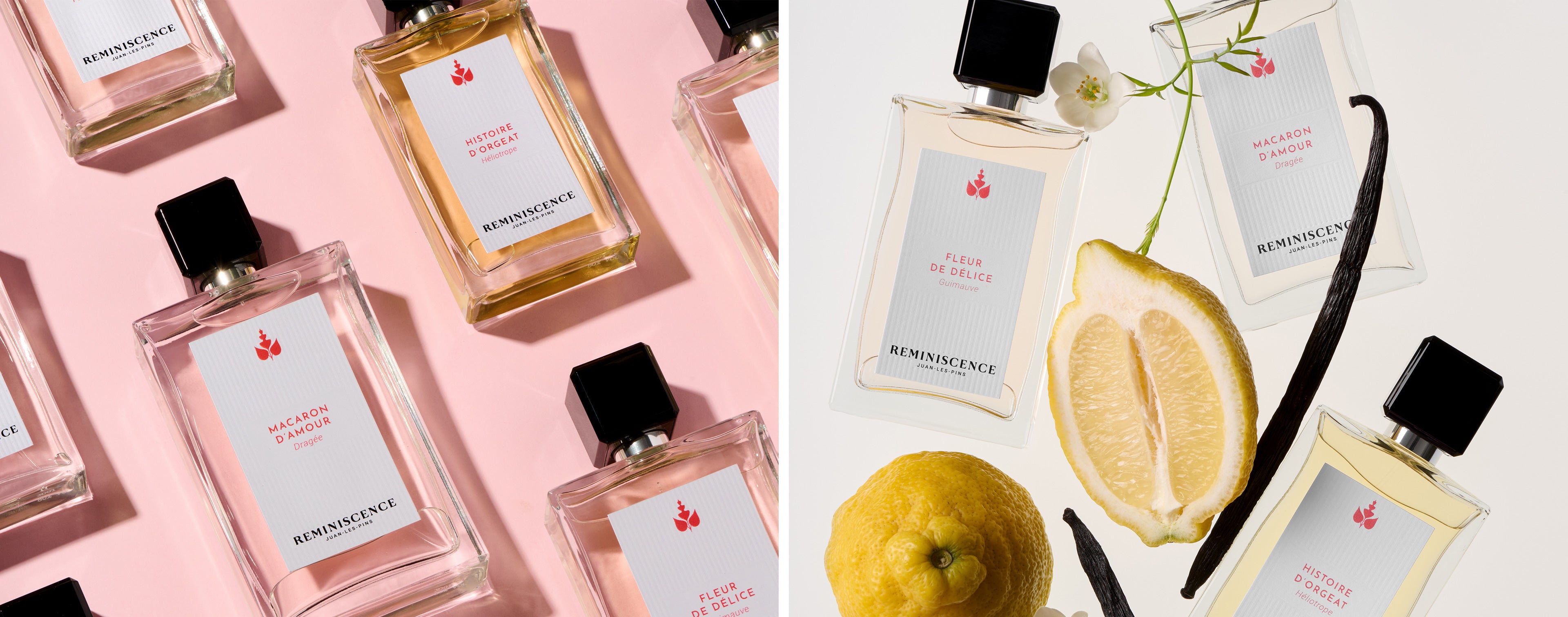 Fleur de Délice – Orange Blossom Fragrance