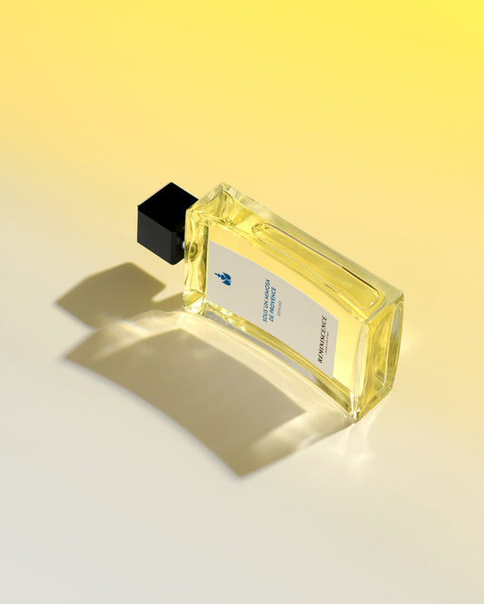 Sous Un Mimosa De Provence