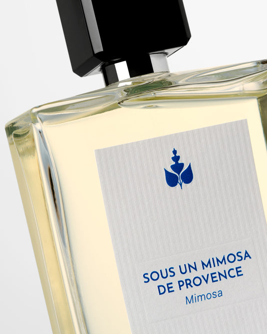 Sous Un Mimosa De Provence