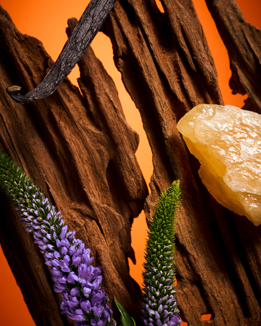Le Patchouli Elixir Limited Edition