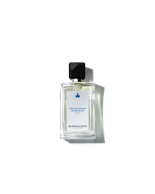 Sous Un Mimosa De Provence