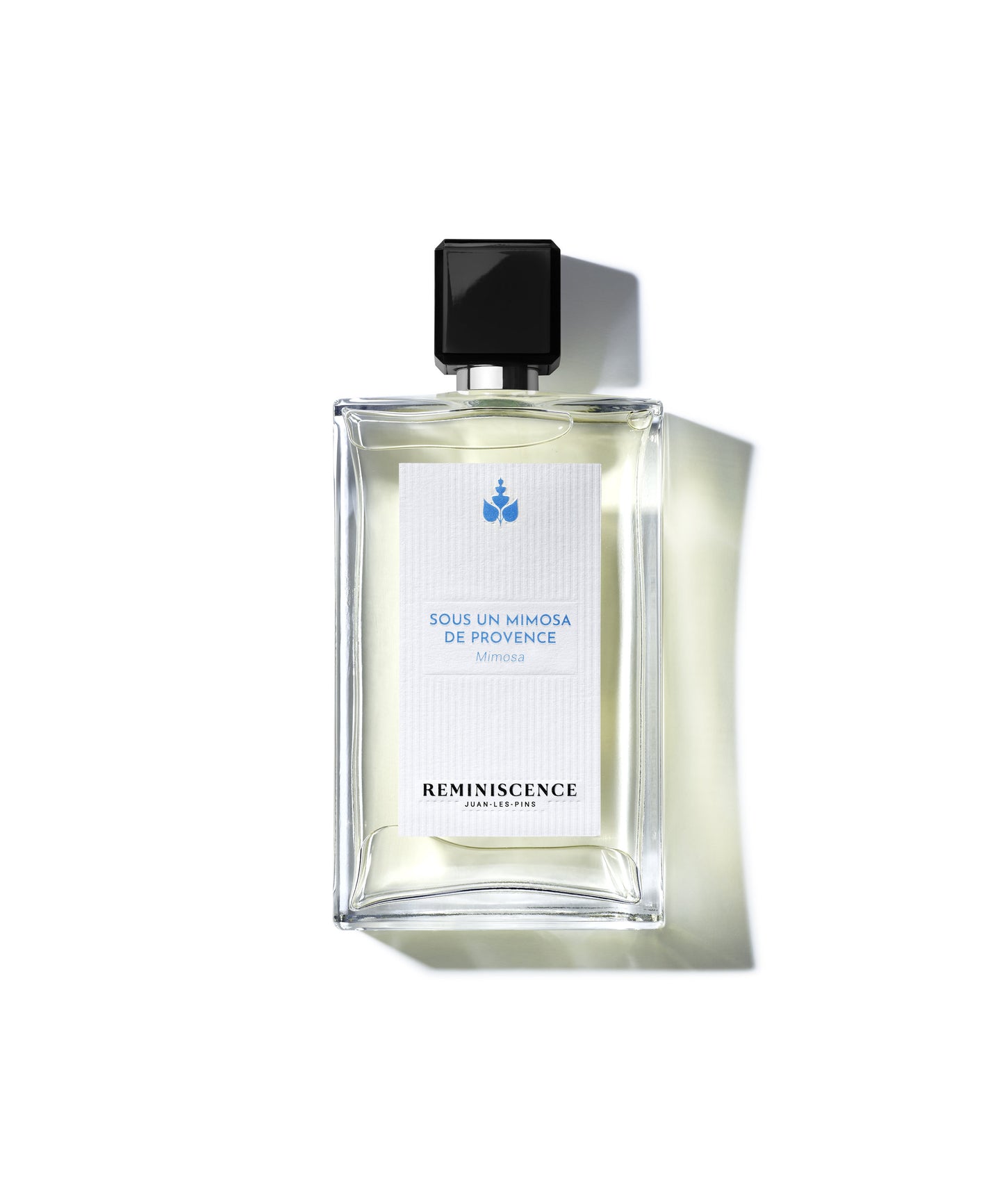 Sous Un Mimosa De Provence