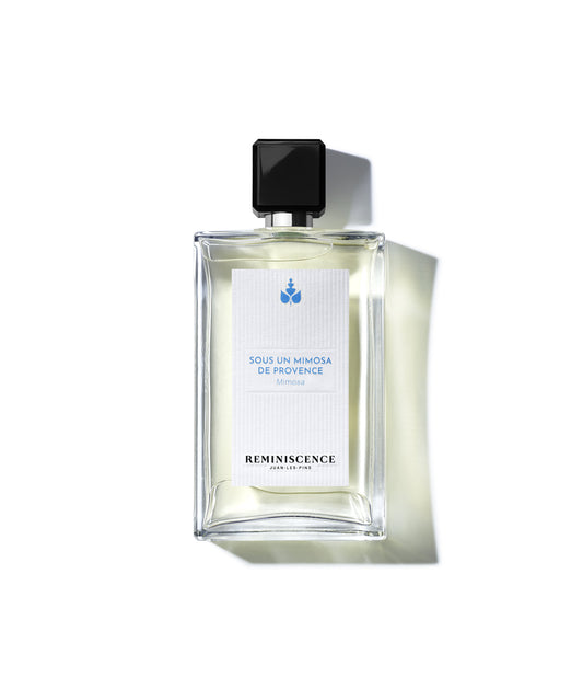 Sous Un Mimosa De Provence