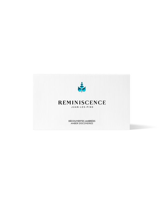 El set de descubrimiento del ámbar