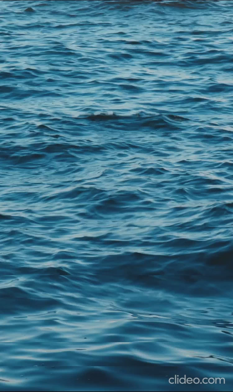 sections.video.load_video